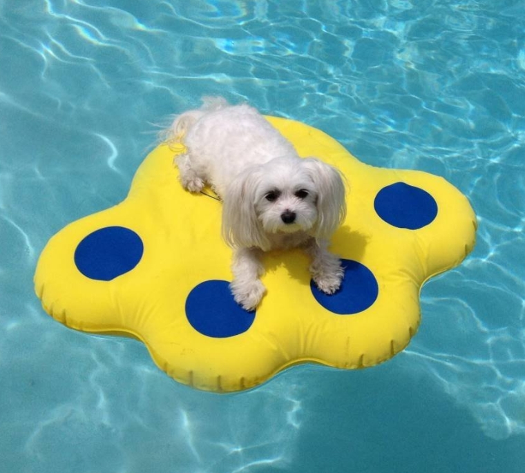 Paws Aboard Doggy Dog Pool Float