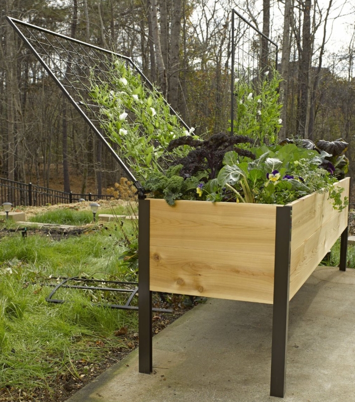Elevated Cedar Planter Box and Space-Maker Pivoting Trellis Set