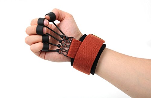 physical therapy hand exercisers