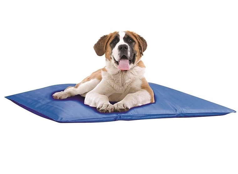 Pet Cooling Bed Large Indoor or Outdoors Pet Store Mat
