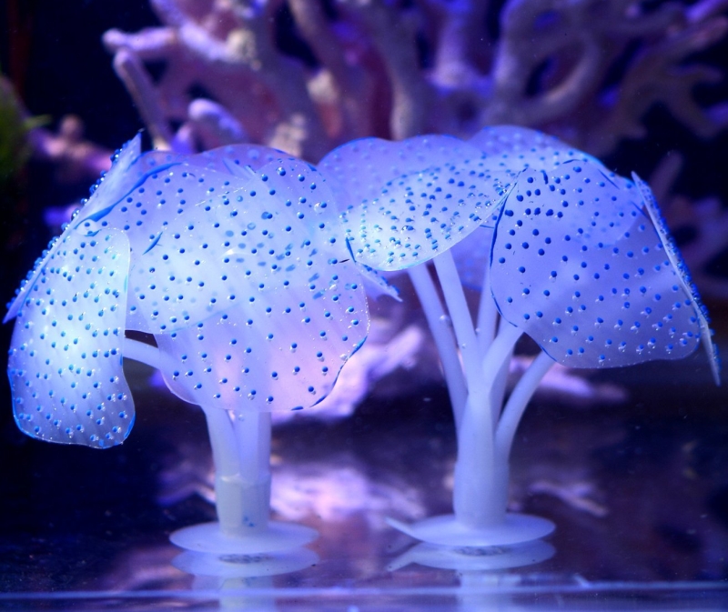 Glowing Effect Artificial Coral Plant for Fish Tank, Decorative Aquarium Ornament