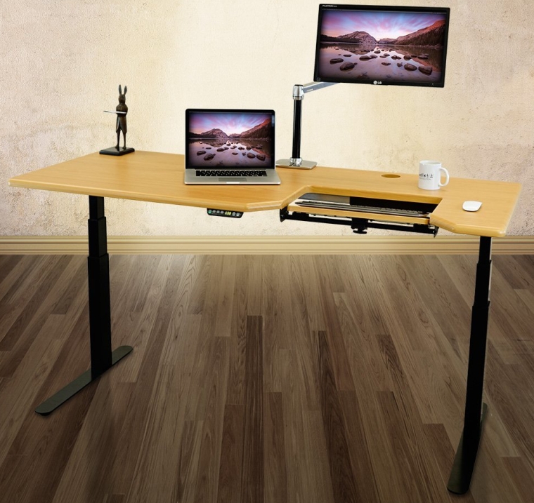 Omega EVEREST Electric Adjustable Height Standing Desk