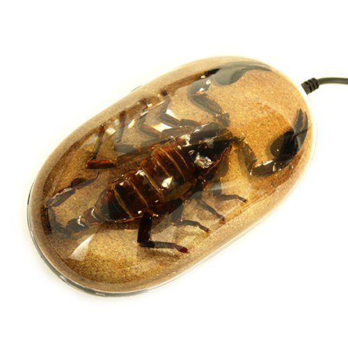 Scorpion Computer Mouse with Sand Print