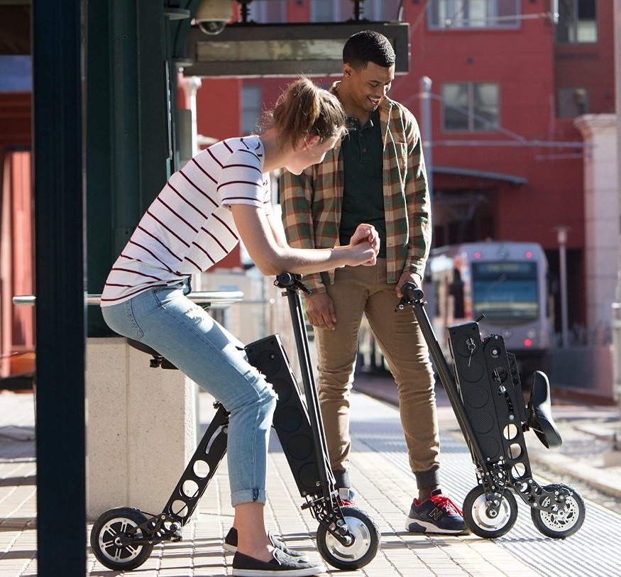 Label Electric Folding Scooter