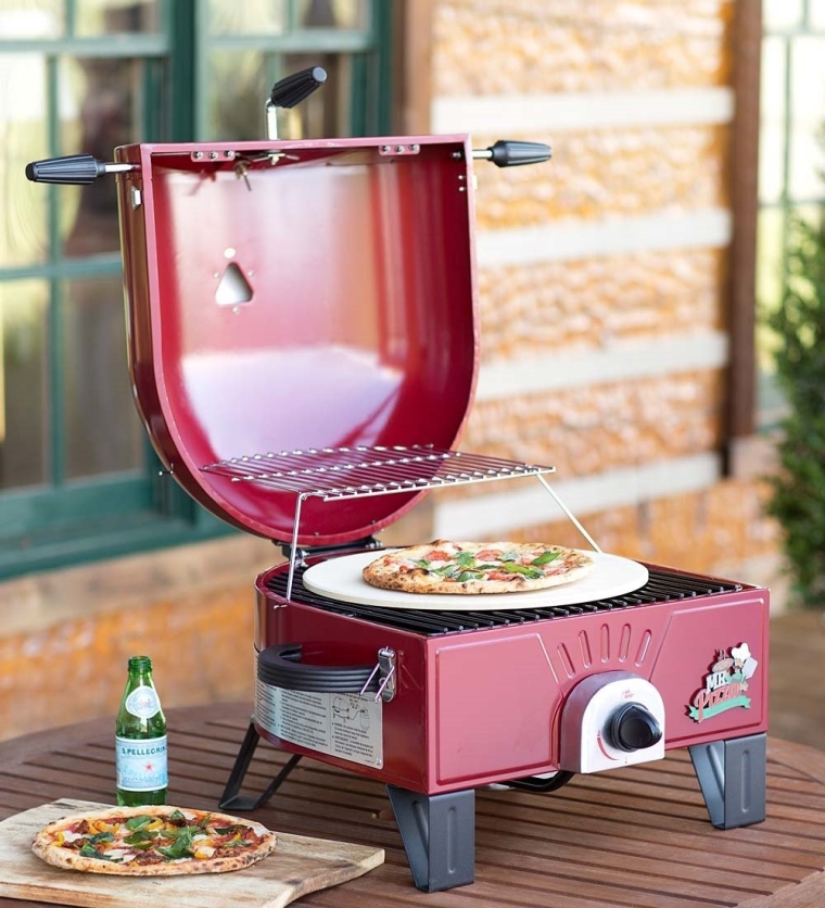 Novelty Pizza OvenGrill