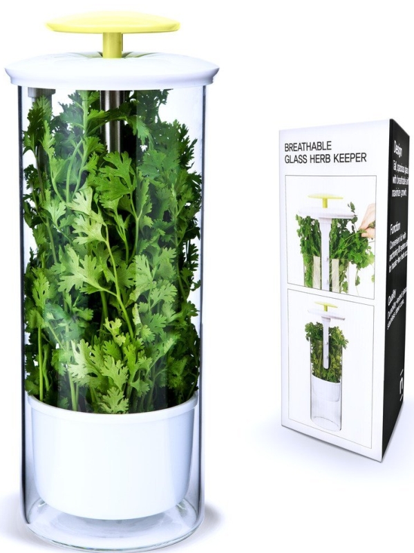 Fresh Herb Keeper and Herb Storage Container