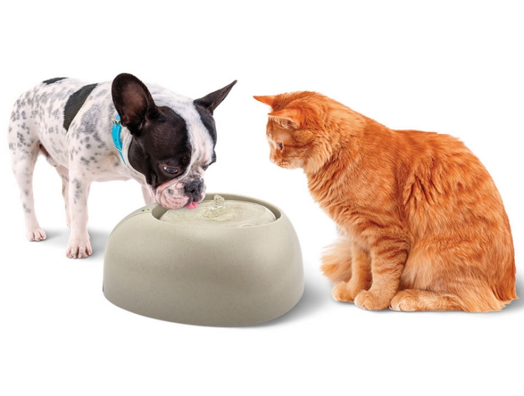 The Italian Filtered Pet Fountain