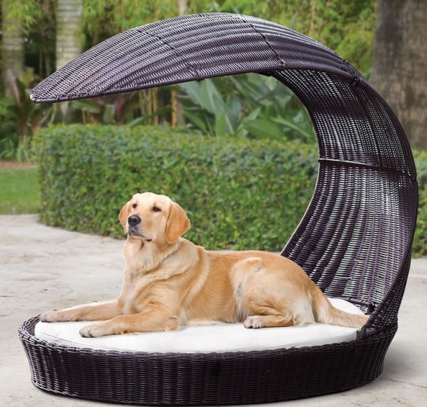 The Pet’s Lounging Pergola