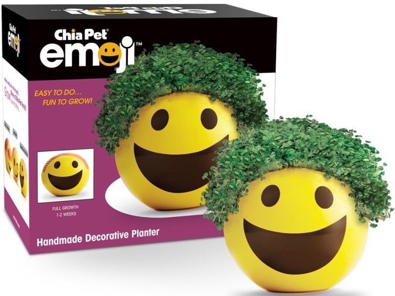 Emoji Smiley Handmade Decorative Planter
