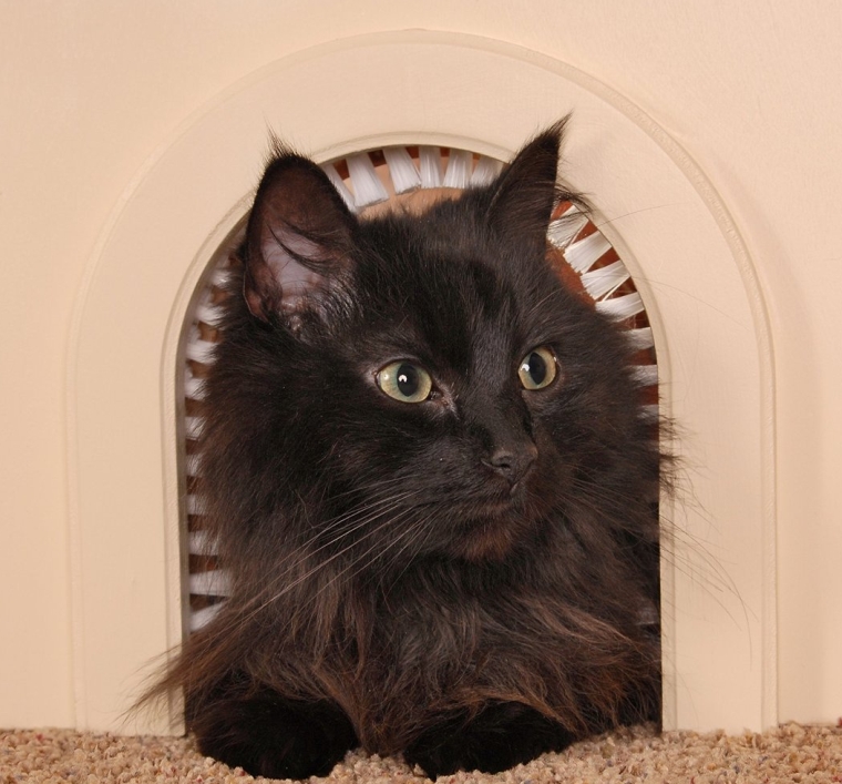 Cat Door - Cathole Interior Pet Door With Cleaning Brush