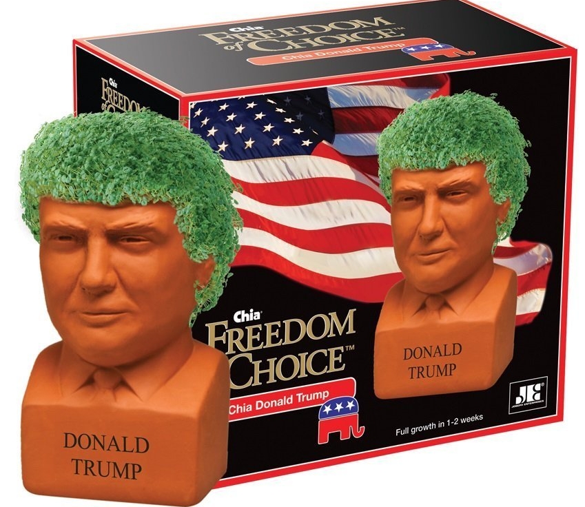 Chia Donald Trump Freedom of Choice Pottery Planter