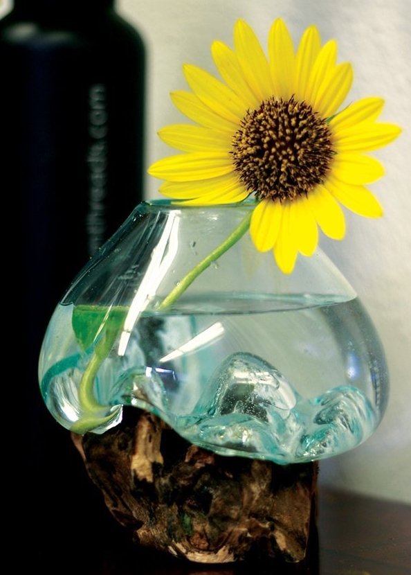 Glass and Wood Root Sculptured Terrarium  Vase  Fish Bowl