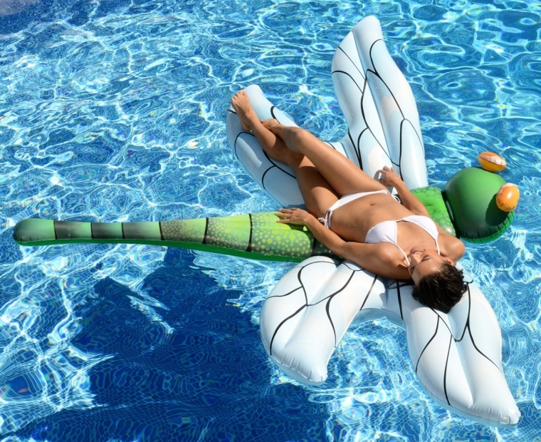 Light-Up Dragonfly Pool Float