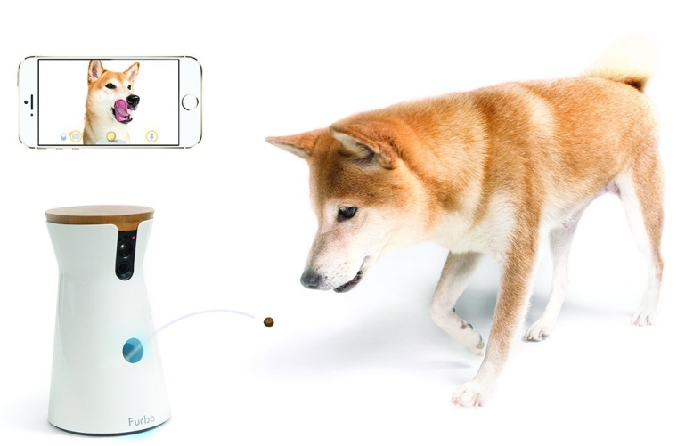 Furbo Treat-Tossing Dog Camera