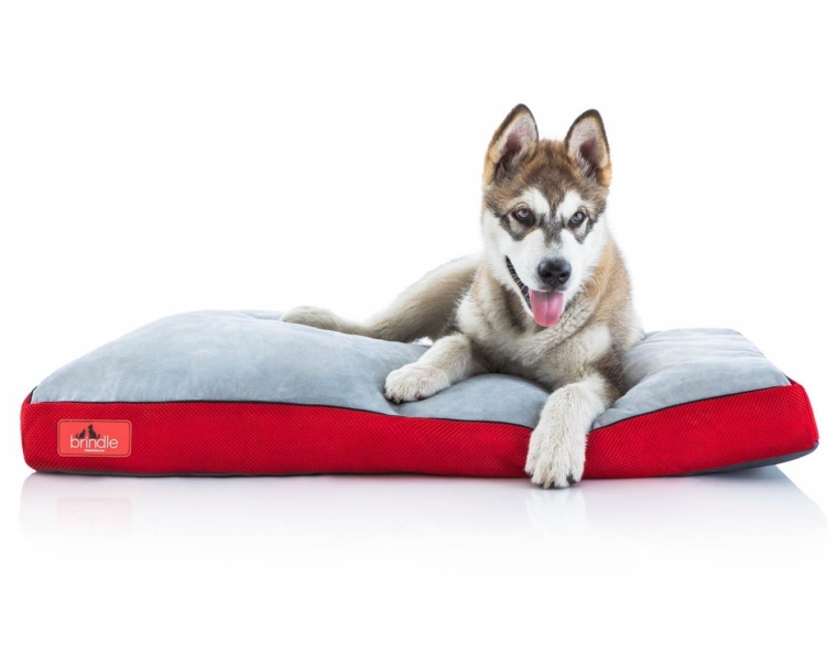 Soft Memory Foam Dog Bed with Removable Washable Cover