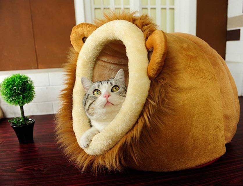 geekercity-lion-shaped-cute-warm-plush-pet-dog-cat-bed