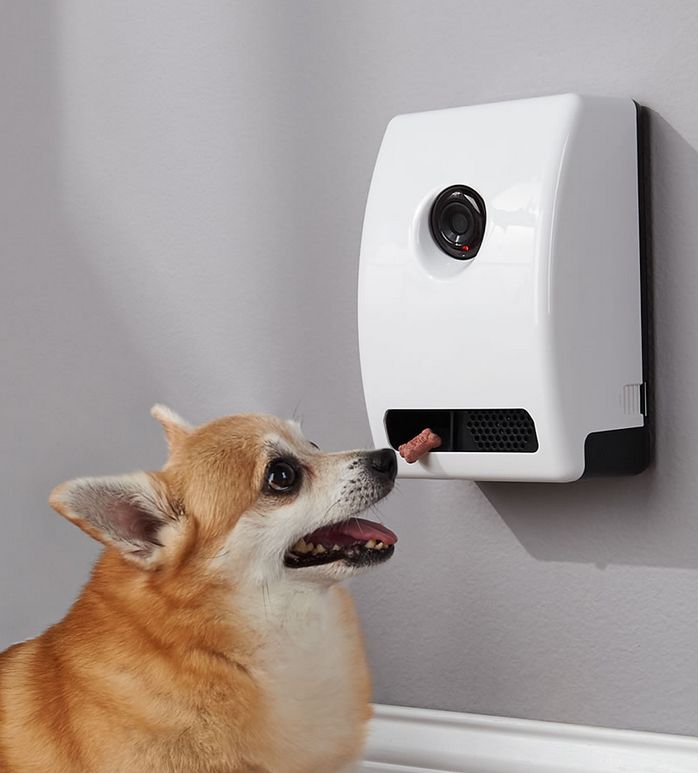 the-wifi-communicating-pet-treat-dispenser