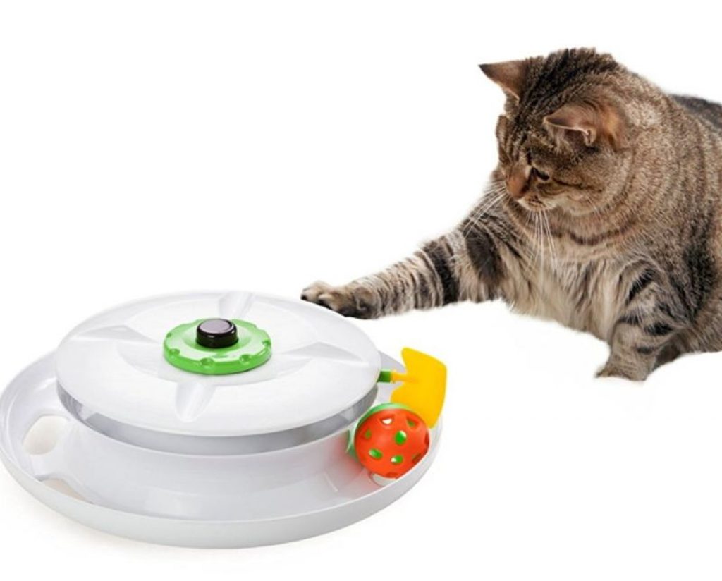 remote control ball for cats