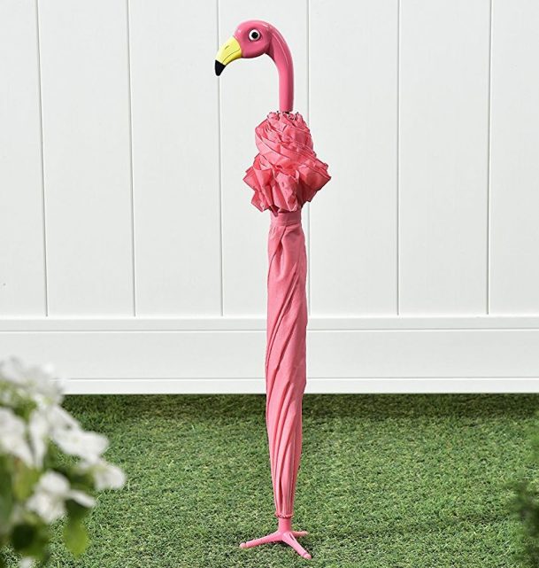hidden umbrella in flamingo pictures