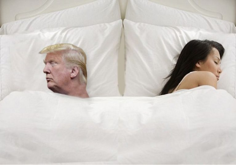 donald trump mattress reviews