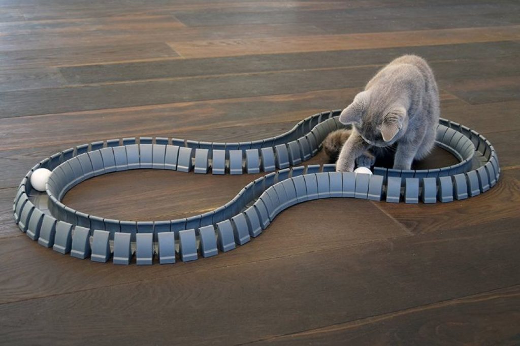 cat toy ball track