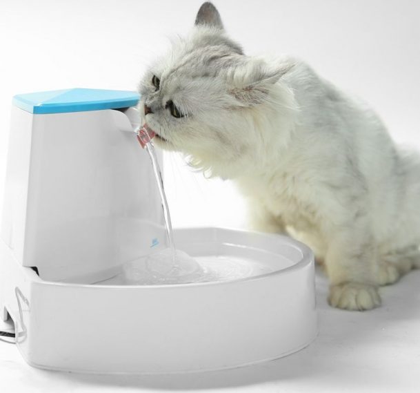Pet Fountain