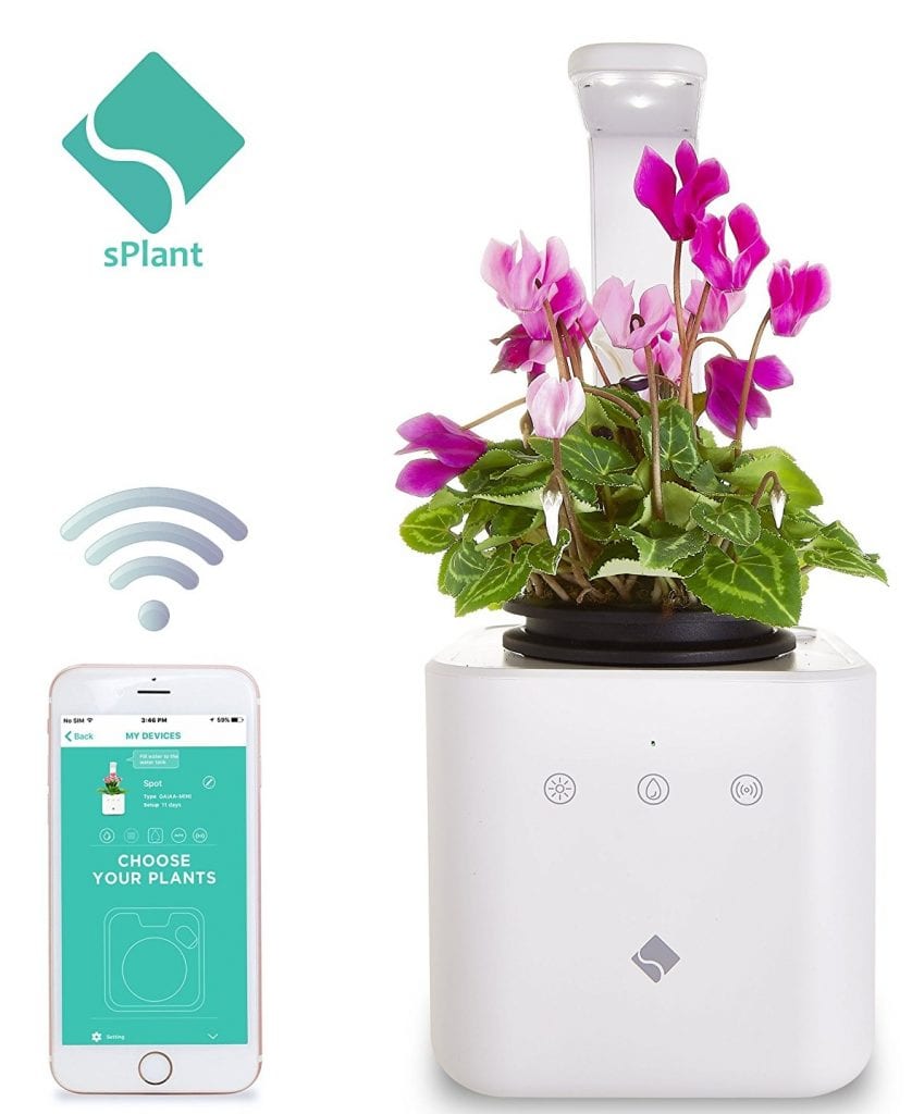 sPlant Smart Fresh Herb Garden Kit