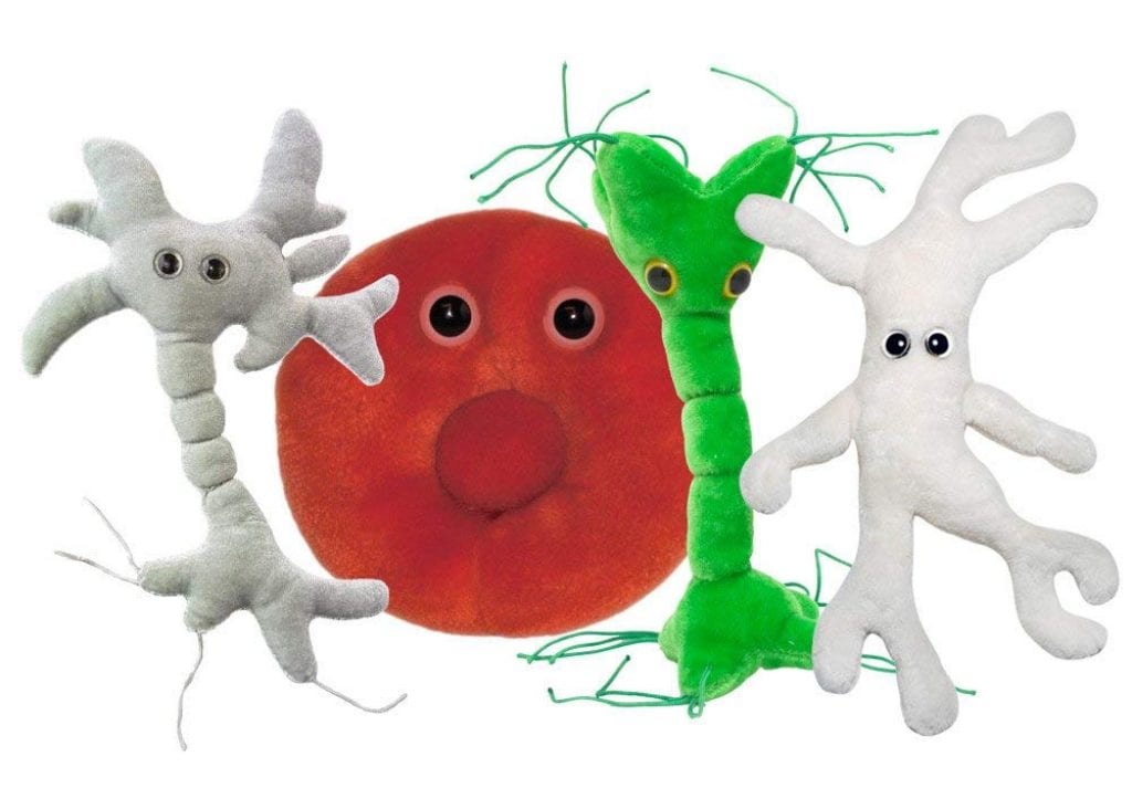 giantmicrobes cells at work