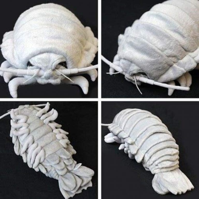 stuffed isopod