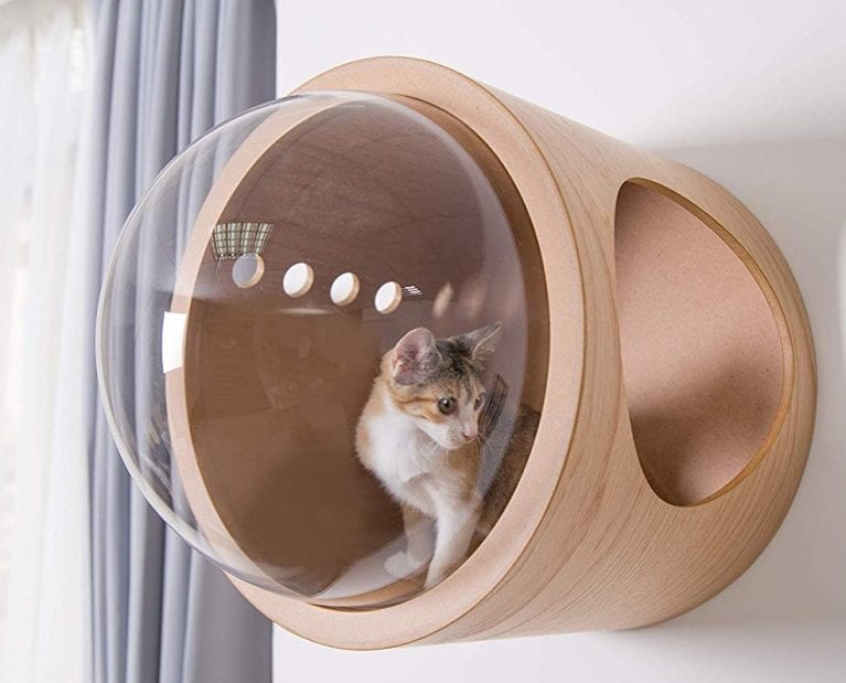 Spaceship Gamma, Pet Bed for Cat & Dog