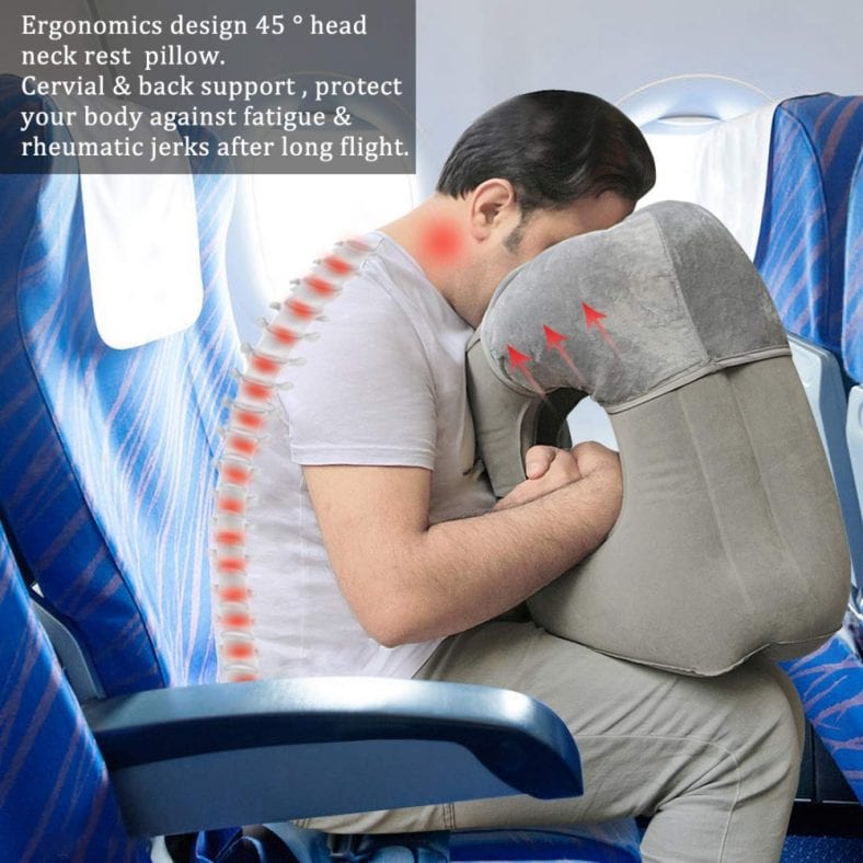 turtle airplane pillow