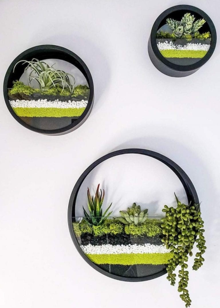 Wall Vase Succulent Planter Vase