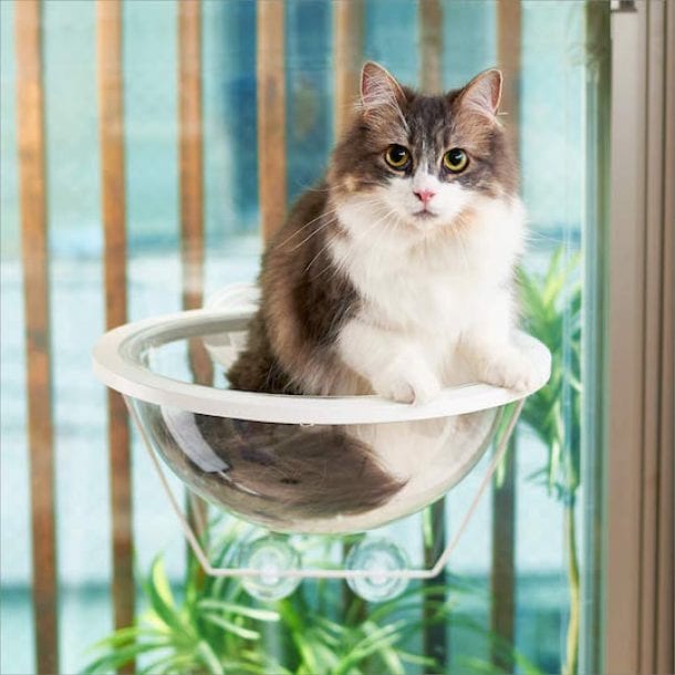 Clear Capsule Window Cat Bed
