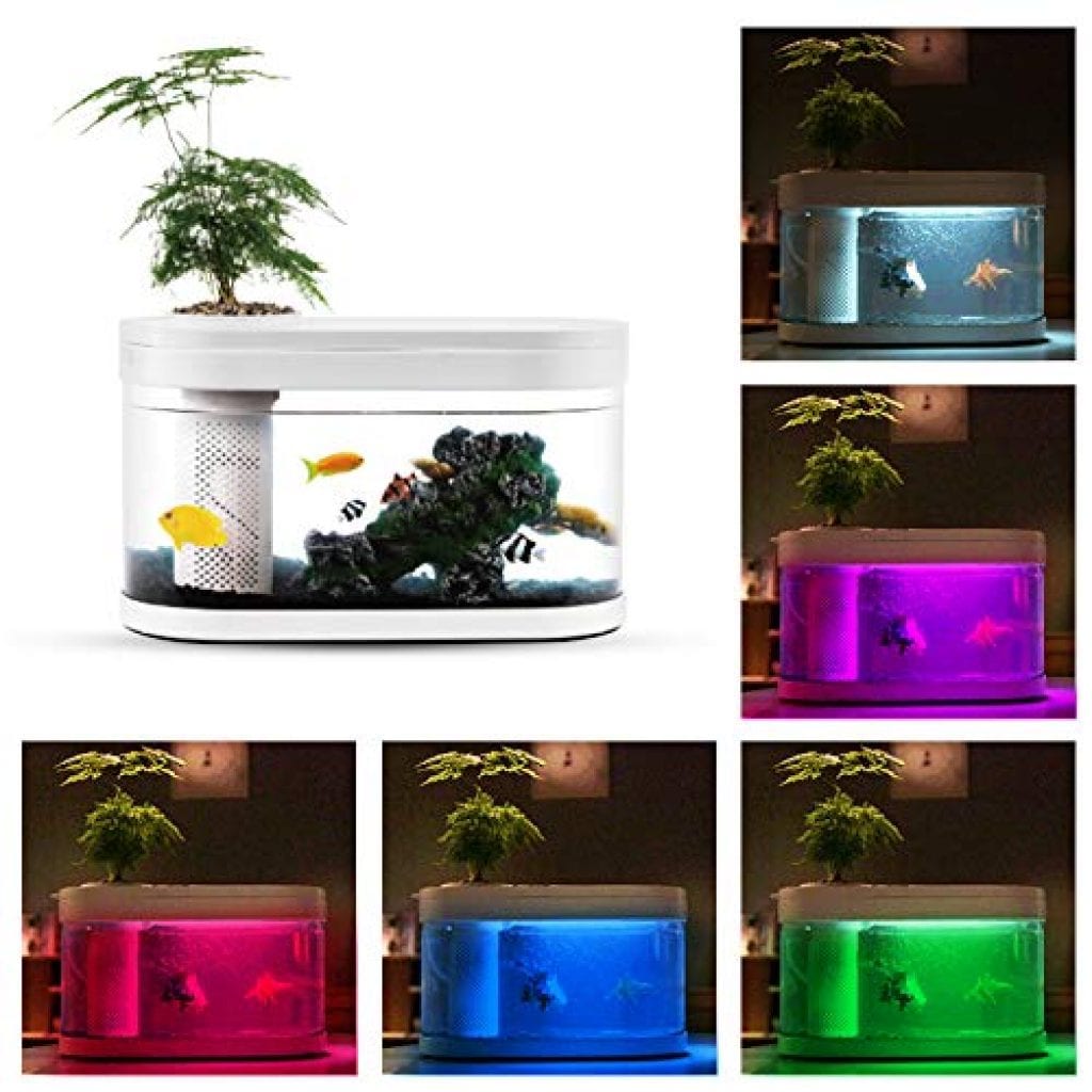 Geometry Fish Tank Aquaponics Ecosystem Small Water Garden Home Decor