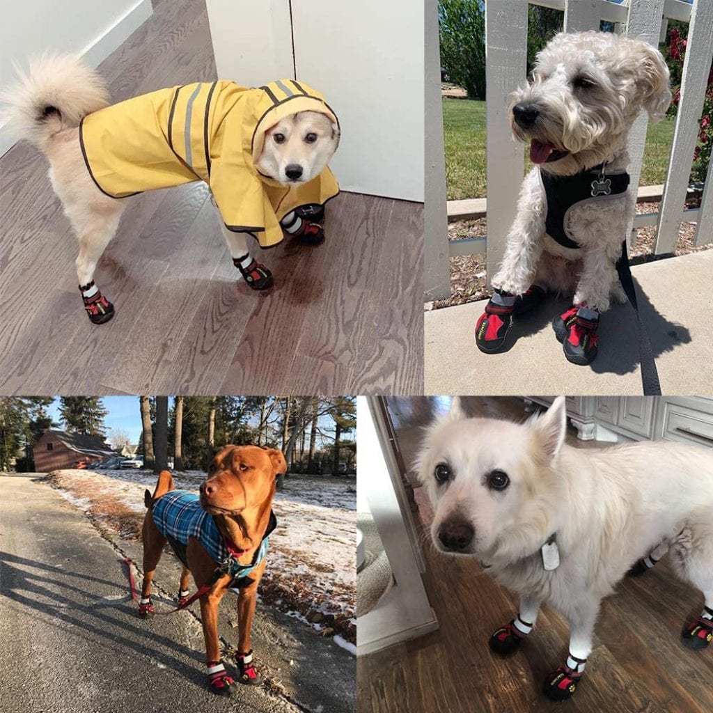 Dog Shoes Dog Snow Boots Rain Boots