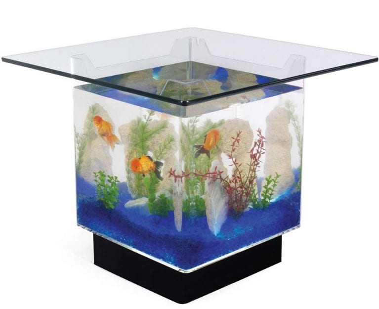 The Aquarium Coffee Table