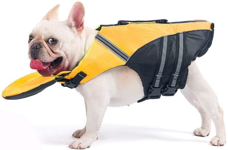 French Bulldog Life Jacket – 7 Gadgets