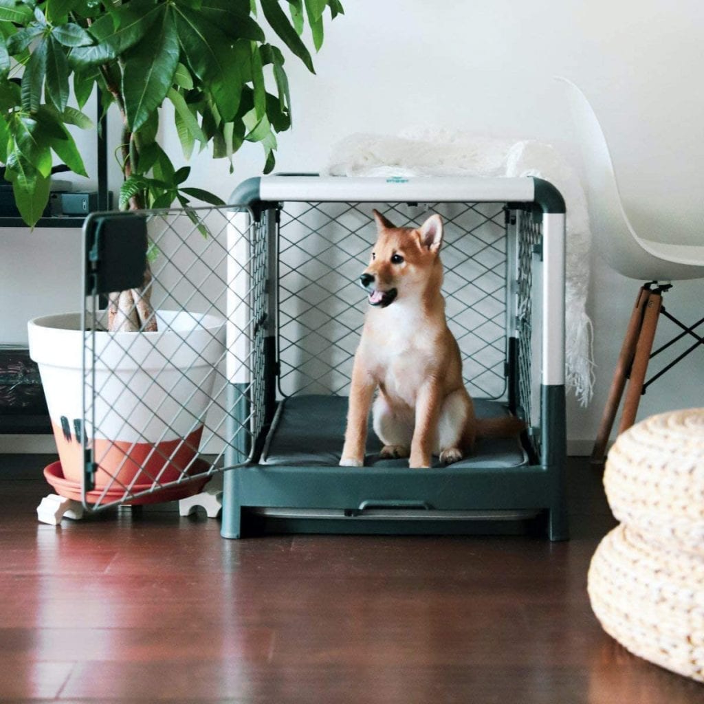Portable Travel Dog Crate with Collapsible Kennel Walls