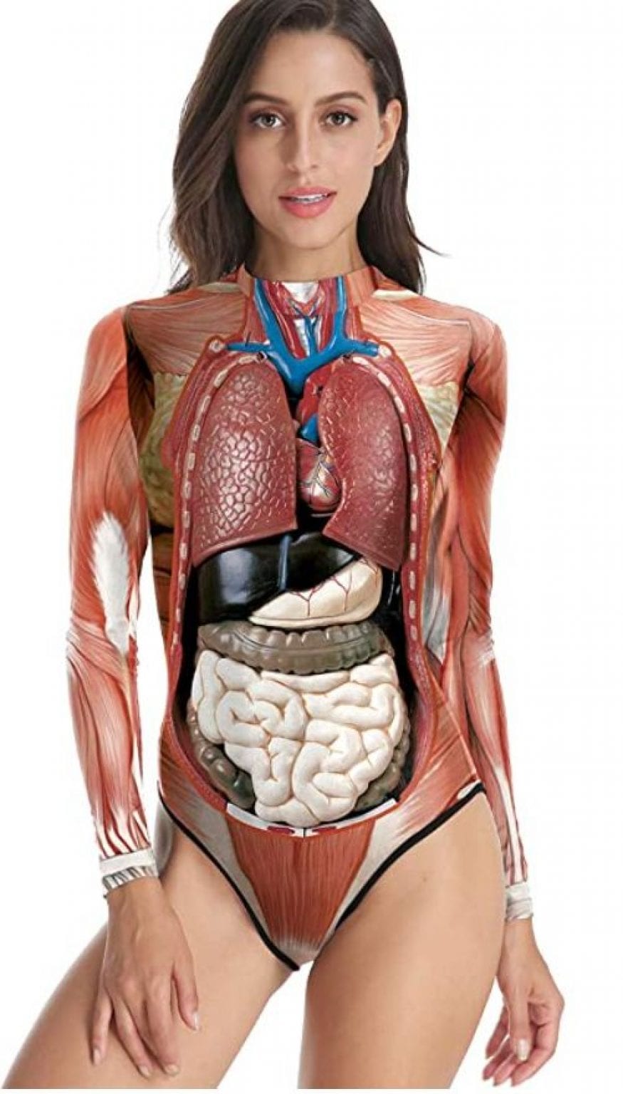 Тело женщины анатомия