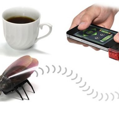 Gokiraji iPad, iPhone Remote Control Cockroach