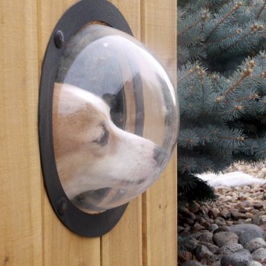 Fence Window for Pets