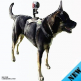 Dog Camera Mount for Gopro