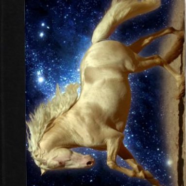 White Horse Starry Night Design Black Leather and Faux Suede Case