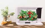 Smart IoT Hydroponics Grower/Growing System