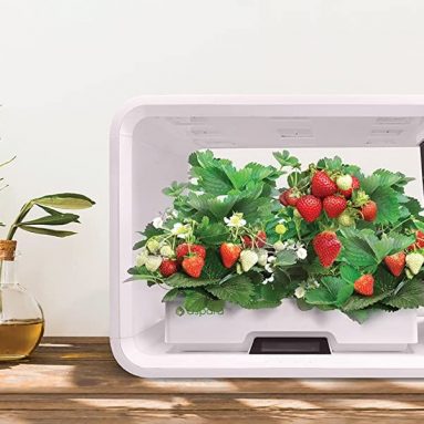 Smart IoT Hydroponics Grower/Growing System