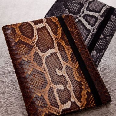 Faux Python e-Reader Case