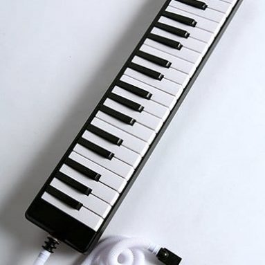 The Melodica