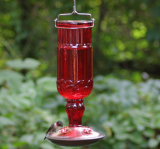 Red Antique Bottle Hummingbird Feeder