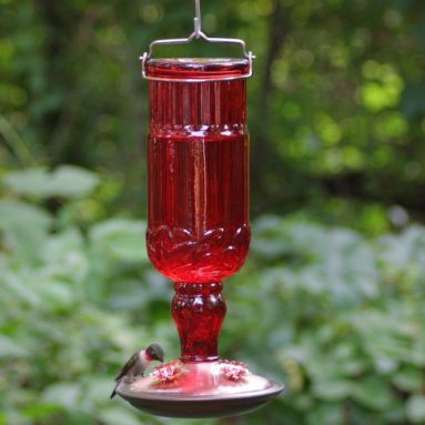 Red Antique Bottle Hummingbird Feeder