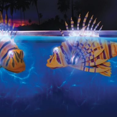 The Illuminated Fish Bots